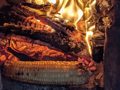 Ein Maiskolben wird über offenem Holzfeuer geröstet.