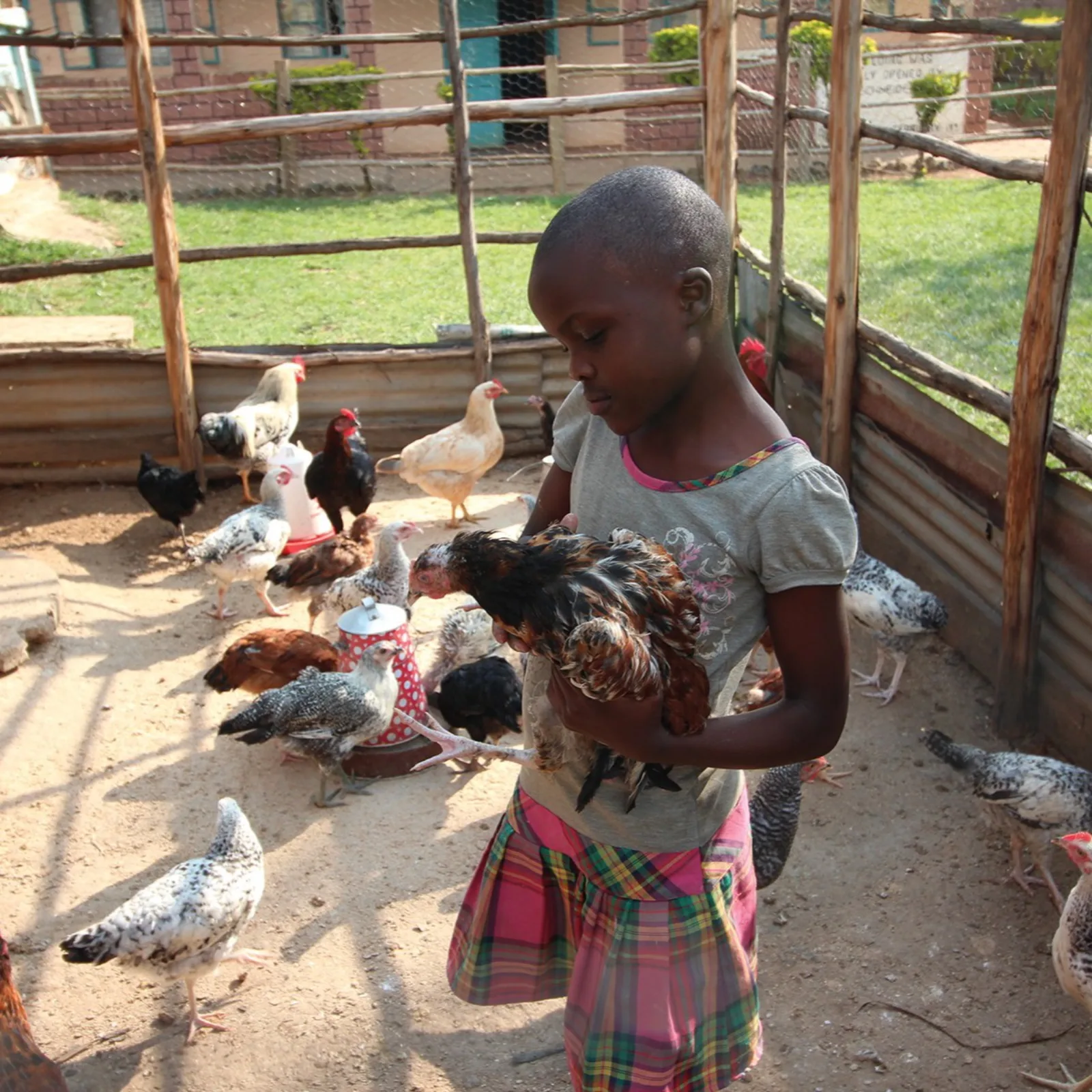 Mädchen im Malaika Children's Home hält ein Huhn im Hühnergehege