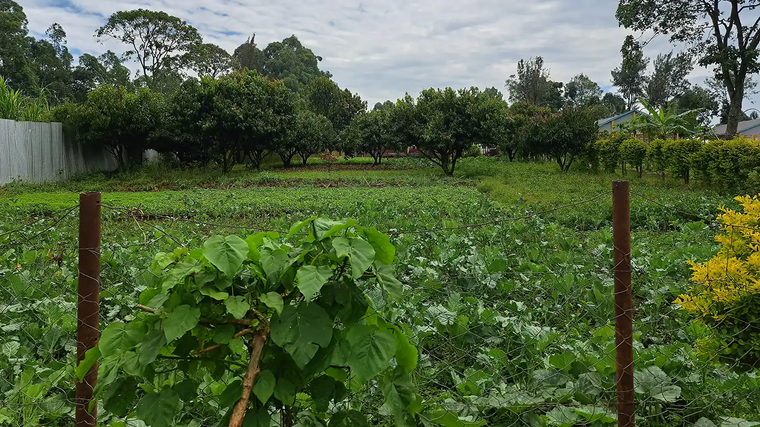 Ein riesiger Garten, in dem verschiedene Gemüsearten sowie Obstbäume angepflanzt sind.