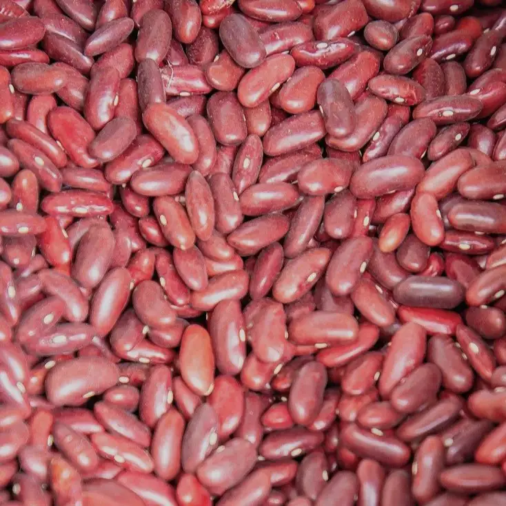 Rote Kidneybohnen